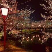 ヒメ日記 2026/04/14 11:31 投稿 なつき『ガール』 ディオーネ