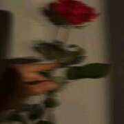 ヒメ日記 2026/02/12 17:13 投稿 新田へれん 厚木OL委員会