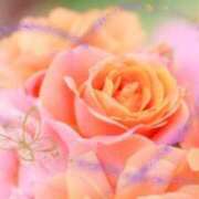 ヒメ日記 2024/12/20 10:06 投稿 飯島百合子(いいじまゆりこ) 五十路マダムエクスプレス厚木店(カサブランカグループ)