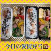 ヒメ日記 2024/12/23 07:34 投稿 飯島百合子(いいじまゆりこ) 五十路マダムエクスプレス厚木店(カサブランカグループ)