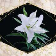 ヒメ日記 2025/01/10 12:28 投稿 飯島百合子(いいじまゆりこ) 五十路マダムエクスプレス厚木店(カサブランカグループ)