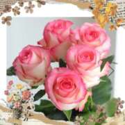 ヒメ日記 2025/01/17 10:10 投稿 飯島百合子(いいじまゆりこ) 五十路マダムエクスプレス厚木店(カサブランカグループ)