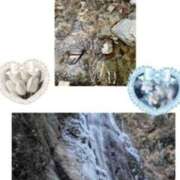 ヒメ日記 2025/02/24 08:02 投稿 飯島百合子(いいじまゆりこ) 五十路マダムエクスプレス厚木店(カサブランカグループ)