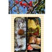 ヒメ日記 2025/03/11 16:08 投稿 飯島百合子(いいじまゆりこ) 五十路マダムエクスプレス厚木店(カサブランカグループ)