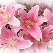 ヒメ日記 2025/03/15 17:46 投稿 飯島百合子(いいじまゆりこ) 五十路マダムエクスプレス厚木店(カサブランカグループ)