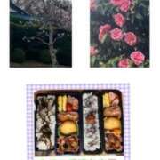 ヒメ日記 2025/03/27 15:48 投稿 飯島百合子(いいじまゆりこ) 五十路マダムエクスプレス厚木店(カサブランカグループ)