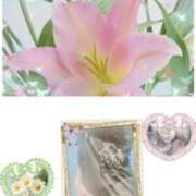 ヒメ日記 2025/03/29 16:08 投稿 飯島百合子(いいじまゆりこ) 五十路マダムエクスプレス厚木店(カサブランカグループ)