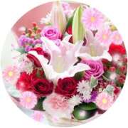 ヒメ日記 2025/04/04 12:16 投稿 飯島百合子(いいじまゆりこ) 五十路マダムエクスプレス厚木店(カサブランカグループ)