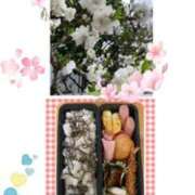 ヒメ日記 2025/04/07 07:40 投稿 飯島百合子(いいじまゆりこ) 五十路マダムエクスプレス厚木店(カサブランカグループ)