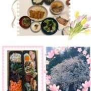 ヒメ日記 2025/04/16 06:28 投稿 飯島百合子(いいじまゆりこ) 五十路マダムエクスプレス厚木店(カサブランカグループ)