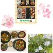 ヒメ日記 2025/04/22 07:40 投稿 飯島百合子(いいじまゆりこ) 五十路マダムエクスプレス厚木店(カサブランカグループ)