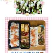 ヒメ日記 2025/04/23 07:28 投稿 飯島百合子(いいじまゆりこ) 五十路マダムエクスプレス厚木店(カサブランカグループ)