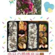 ヒメ日記 2025/04/24 07:36 投稿 飯島百合子(いいじまゆりこ) 五十路マダムエクスプレス厚木店(カサブランカグループ)