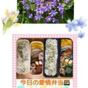 ヒメ日記 2025/05/06 07:48 投稿 飯島百合子(いいじまゆりこ) 五十路マダムエクスプレス厚木店(カサブランカグループ)