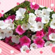 ヒメ日記 2025/05/10 19:02 投稿 飯島百合子(いいじまゆりこ) 五十路マダムエクスプレス厚木店(カサブランカグループ)