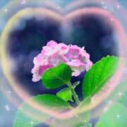 ヒメ日記 2025/05/17 07:52 投稿 飯島百合子(いいじまゆりこ) 五十路マダムエクスプレス厚木店(カサブランカグループ)