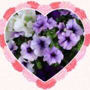 ヒメ日記 2025/05/23 11:10 投稿 飯島百合子(いいじまゆりこ) 五十路マダムエクスプレス厚木店(カサブランカグループ)