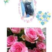 ヒメ日記 2025/06/08 16:00 投稿 飯島百合子(いいじまゆりこ) 五十路マダムエクスプレス厚木店(カサブランカグループ)