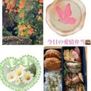 ヒメ日記 2025/06/27 15:48 投稿 飯島百合子(いいじまゆりこ) 五十路マダムエクスプレス厚木店(カサブランカグループ)