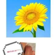 ヒメ日記 2025/08/03 08:08 投稿 飯島百合子(いいじまゆりこ) 五十路マダムエクスプレス厚木店(カサブランカグループ)