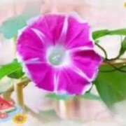 ヒメ日記 2025/08/05 15:36 投稿 飯島百合子(いいじまゆりこ) 五十路マダムエクスプレス厚木店(カサブランカグループ)