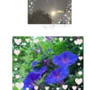 ヒメ日記 2025/08/10 07:38 投稿 飯島百合子(いいじまゆりこ) 五十路マダムエクスプレス厚木店(カサブランカグループ)