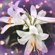 ヒメ日記 2025/08/12 11:36 投稿 飯島百合子(いいじまゆりこ) 五十路マダムエクスプレス厚木店(カサブランカグループ)