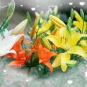 ヒメ日記 2025/08/26 07:30 投稿 飯島百合子(いいじまゆりこ) 五十路マダムエクスプレス厚木店(カサブランカグループ)