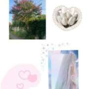 ヒメ日記 2025/08/29 07:36 投稿 飯島百合子(いいじまゆりこ) 五十路マダムエクスプレス厚木店(カサブランカグループ)