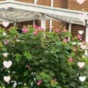 ヒメ日記 2025/09/18 15:18 投稿 飯島百合子(いいじまゆりこ) 五十路マダムエクスプレス厚木店(カサブランカグループ)