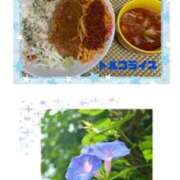 ヒメ日記 2025/09/21 07:48 投稿 飯島百合子(いいじまゆりこ) 五十路マダムエクスプレス厚木店(カサブランカグループ)