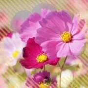 ヒメ日記 2025/09/22 07:36 投稿 飯島百合子(いいじまゆりこ) 五十路マダムエクスプレス厚木店(カサブランカグループ)