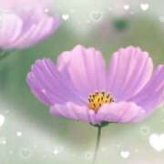 ヒメ日記 2025/09/30 23:04 投稿 飯島百合子(いいじまゆりこ) 五十路マダムエクスプレス厚木店(カサブランカグループ)