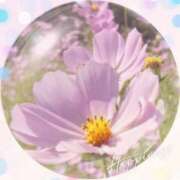 ヒメ日記 2025/10/04 15:44 投稿 飯島百合子(いいじまゆりこ) 五十路マダムエクスプレス厚木店(カサブランカグループ)