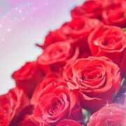 ヒメ日記 2025/10/30 15:36 投稿 飯島百合子(いいじまゆりこ) 五十路マダムエクスプレス厚木店(カサブランカグループ)