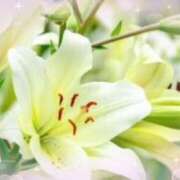 ヒメ日記 2025/11/09 16:04 投稿 飯島百合子(いいじまゆりこ) 五十路マダムエクスプレス厚木店(カサブランカグループ)