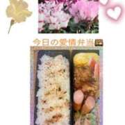 ヒメ日記 2025/11/17 07:40 投稿 飯島百合子(いいじまゆりこ) 五十路マダムエクスプレス厚木店(カサブランカグループ)