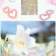 ヒメ日記 2025/11/23 10:34 投稿 飯島百合子(いいじまゆりこ) 五十路マダムエクスプレス厚木店(カサブランカグループ)