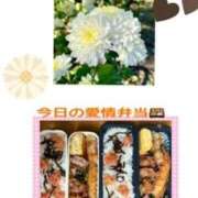 ヒメ日記 2025/11/26 07:46 投稿 飯島百合子(いいじまゆりこ) 五十路マダムエクスプレス厚木店(カサブランカグループ)