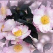 ヒメ日記 2025/12/28 15:36 投稿 飯島百合子(いいじまゆりこ) 五十路マダムエクスプレス厚木店(カサブランカグループ)