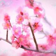 ヒメ日記 2026/01/05 15:40 投稿 飯島百合子(いいじまゆりこ) 五十路マダムエクスプレス厚木店(カサブランカグループ)