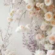 ヒメ日記 2026/01/15 08:02 投稿 飯島百合子(いいじまゆりこ) 五十路マダムエクスプレス厚木店(カサブランカグループ)