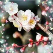 ヒメ日記 2026/02/23 07:46 投稿 飯島百合子(いいじまゆりこ) 五十路マダムエクスプレス厚木店(カサブランカグループ)