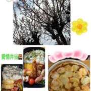 ヒメ日記 2026/02/25 07:24 投稿 飯島百合子(いいじまゆりこ) 五十路マダムエクスプレス厚木店(カサブランカグループ)