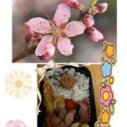 ヒメ日記 2026/02/27 11:56 投稿 飯島百合子(いいじまゆりこ) 五十路マダムエクスプレス厚木店(カサブランカグループ)