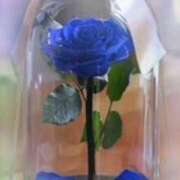 ヒメ日記 2026/03/20 10:24 投稿 飯島百合子(いいじまゆりこ) 五十路マダムエクスプレス厚木店(カサブランカグループ)