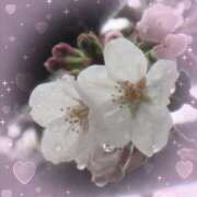 ヒメ日記 2026/03/26 07:42 投稿 飯島百合子(いいじまゆりこ) 五十路マダムエクスプレス厚木店(カサブランカグループ)