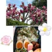 ヒメ日記 2026/03/27 15:38 投稿 飯島百合子(いいじまゆりこ) 五十路マダムエクスプレス厚木店(カサブランカグループ)