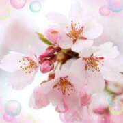 ヒメ日記 2026/03/28 18:28 投稿 飯島百合子(いいじまゆりこ) 五十路マダムエクスプレス厚木店(カサブランカグループ)