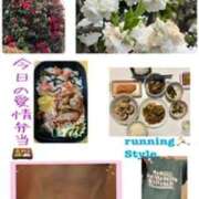 ヒメ日記 2026/03/30 23:54 投稿 飯島百合子(いいじまゆりこ) 五十路マダムエクスプレス厚木店(カサブランカグループ)